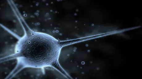 Celula cancer