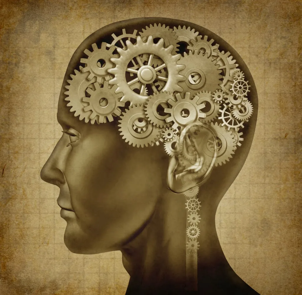 cerebro engrenagem