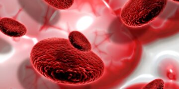 Ilustração em 3D de glóbulos vermelhos no fluxo sanguíneo