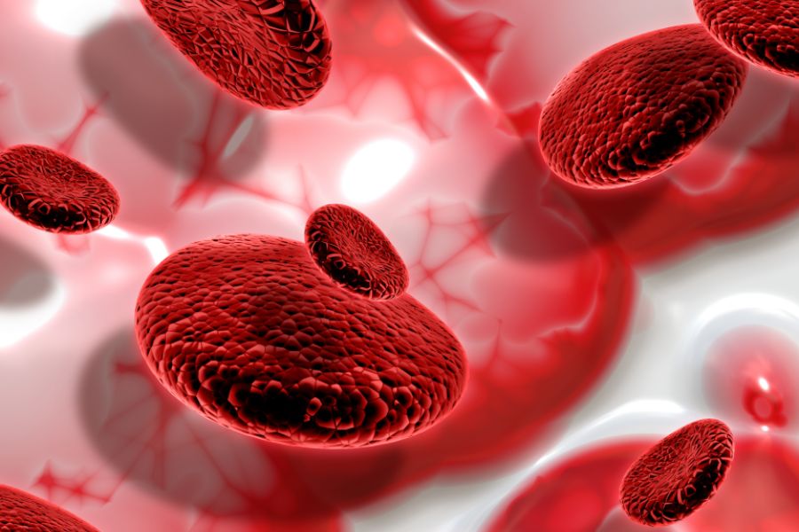 Ilustração em 3D de glóbulos vermelhos no fluxo sanguíneo